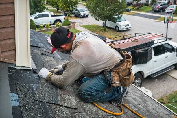 Professional Roof Replacement technician working in Wolf Lake, MI